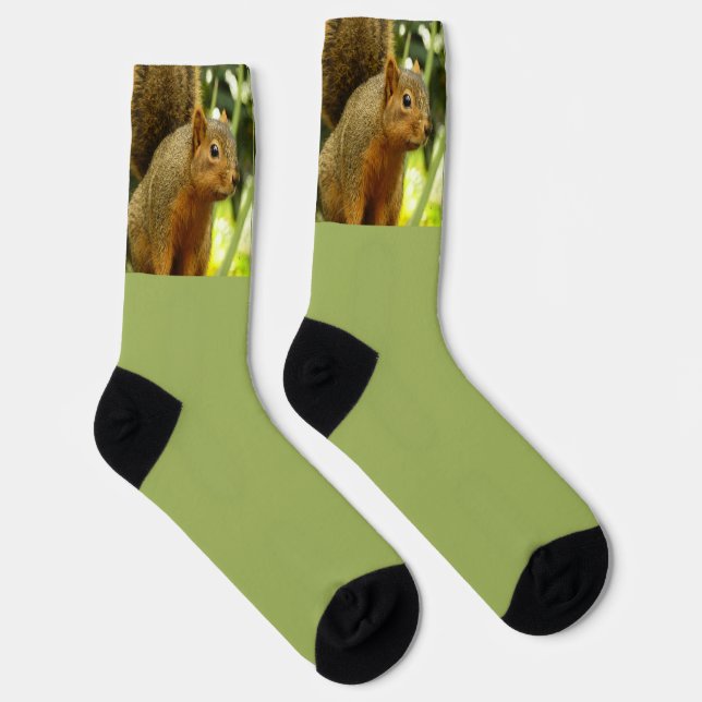 Portrait of a Squirrel Socks (Right)
