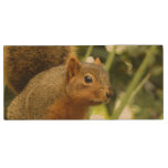 Portrait of a Squirrel Wood Flash Drive