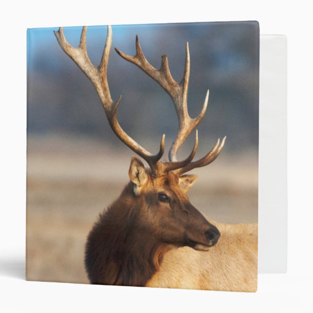 Portrait of a stunning bull elk binder (Front/Inside)