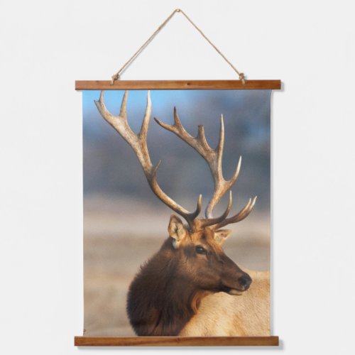 Portrait of a Stunning Bull Elk Hanging Tapestry