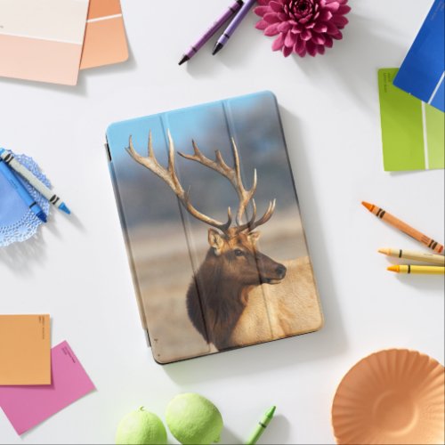 Portrait of a Stunning Bull Elk iPad Air Cover