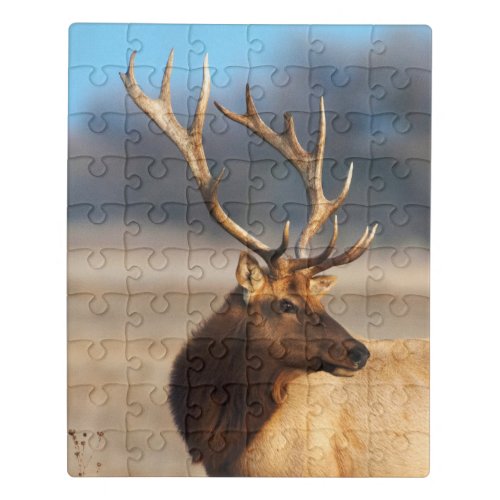 Portrait of a Stunning Bull Elk Jigsaw Puzzle