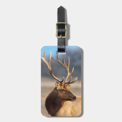 Portrait of a stunning bull elk luggage tag
