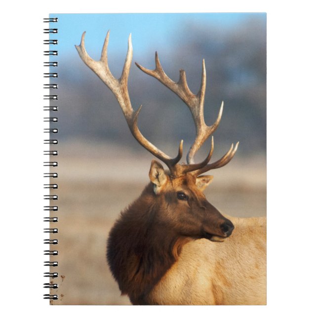 Portrait of a Stunning Bull Elk Notebook (Front)