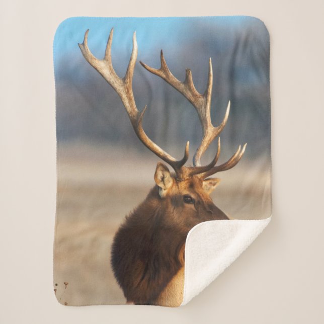 Portrait of a Stunning Bull Elk Sherpa Blanket (Front)