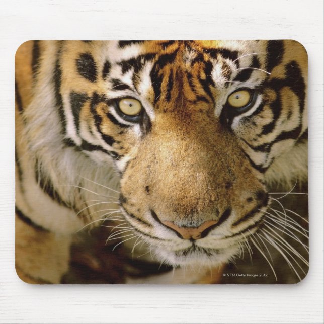 Portrait of a tiger mouse pad (Front)