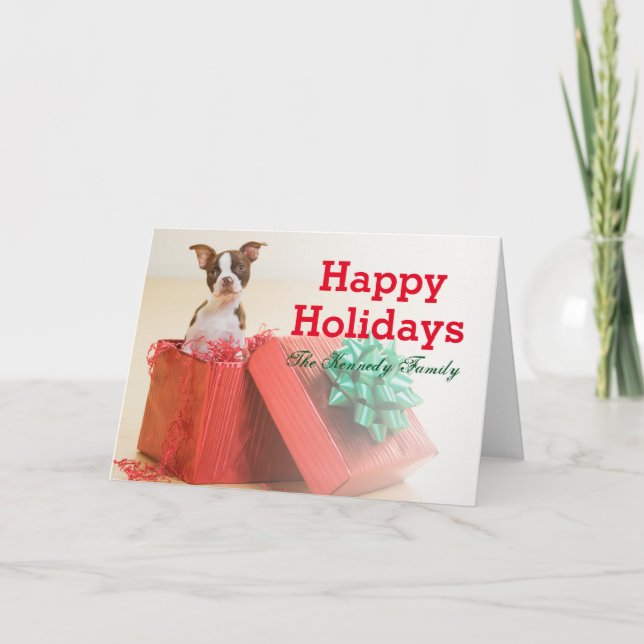 Portrait of a white and brown Boston Terrier Holiday Card (Front)