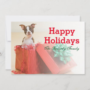 Portrait of a white and brown Boston Terrier Holiday Card