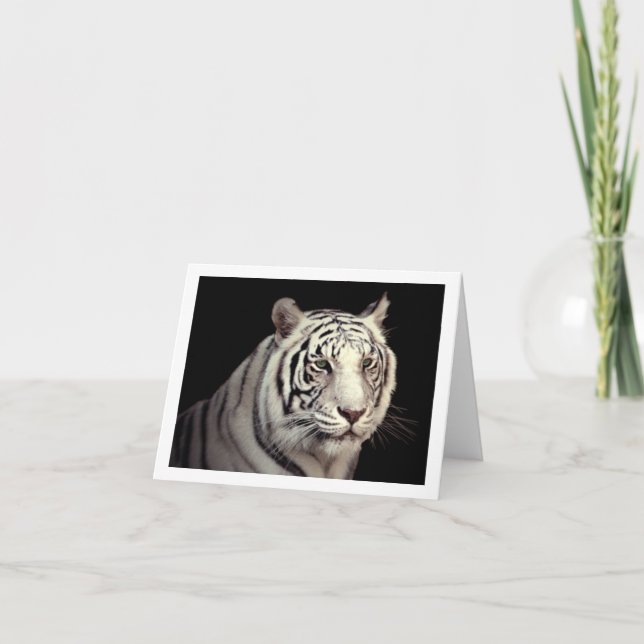 Portrait of a White Bengal Tiger Card (Front)