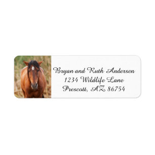 Portrait of a Wild Mustang Label