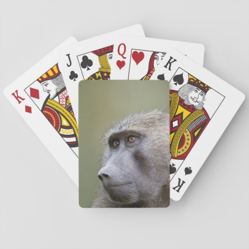 Portrait of adult Olive baboon Papio anubis Playing Cards