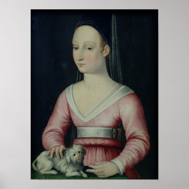 Portrait of Agnes Sorel Poster (Front)