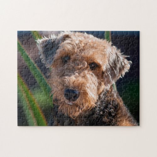 Portrait of an Airedale Terrier 1 Jigsaw Puzzle