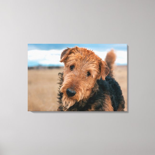 Portrait of an Airedale Terrier Canvas Print (Front)