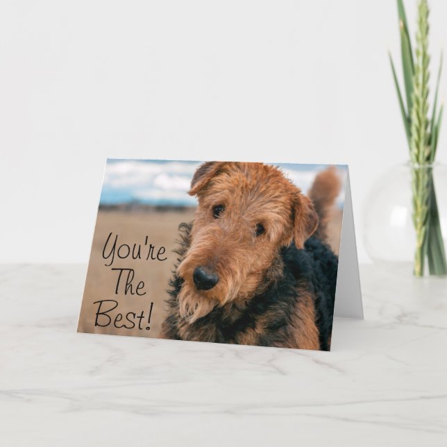 Portrait of an Airedale Terrier Card (Front)