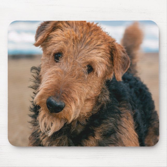 Portrait of an Airedale Terrier Mouse Pad (Front)