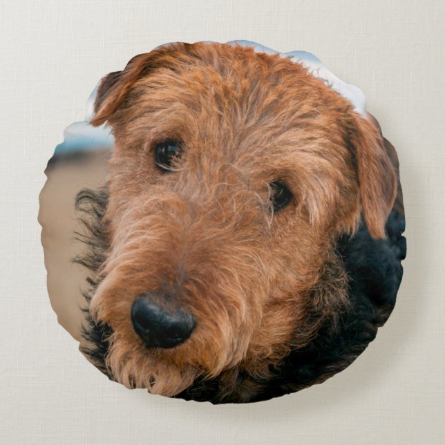Portrait of an Airedale Terrier Round Pillow (Front)