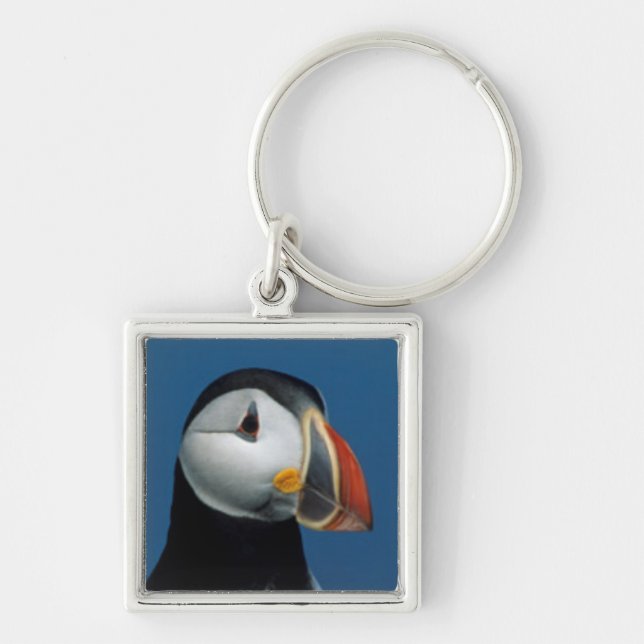 Portrait of an Atlantic Puffin Keychain (Front)