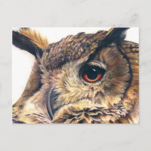 Portrait of an eagle owl postcard