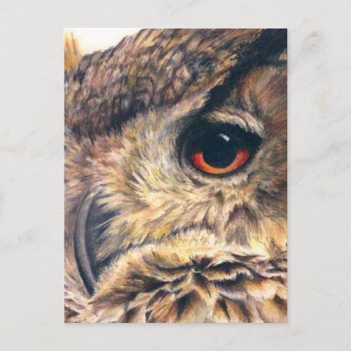 Portrait of an eagle owl postcard