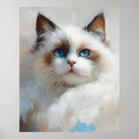 Portrait of an elegant Ragdoll Cat with blue eyes
