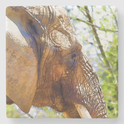 Portrait of an Elephant Stone Coaster