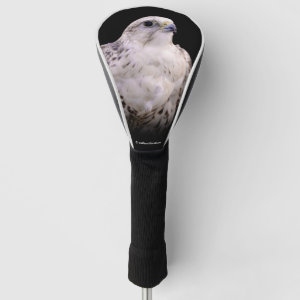 Portrait of an Inquisitive Saker Falcon Golf Head Cover
