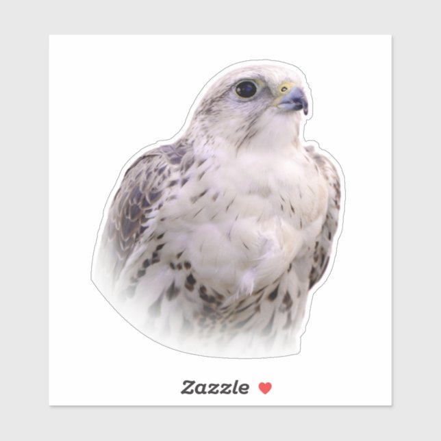 Portrait of an Inquisitive Saker Falcon Sticker (Sheet)