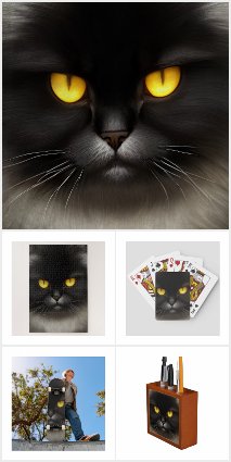 Portrait of Angry Fluffy Black Persian Cat Face