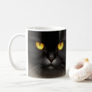 Portrait of Angry Fluffy Black Persian Cat Face