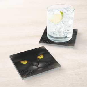 Portrait of Angry Fluffy Black Persian Cat Face Glass Coaster