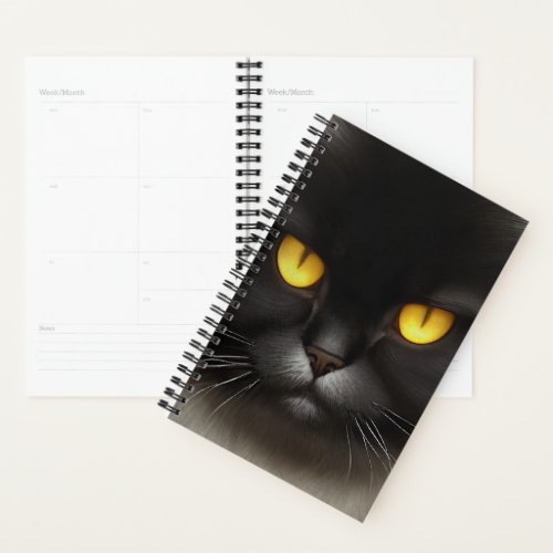 Portrait of Angry Fluffy Black Persian Cat Face Planner
