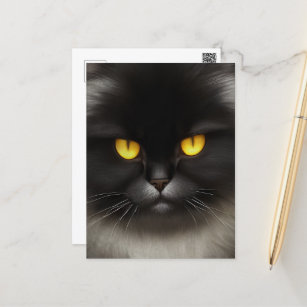 Portrait of Angry Fluffy Black Persian Cat Face Postcard