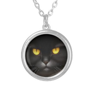 Portrait of Angry Fluffy Black Persian Cat Face