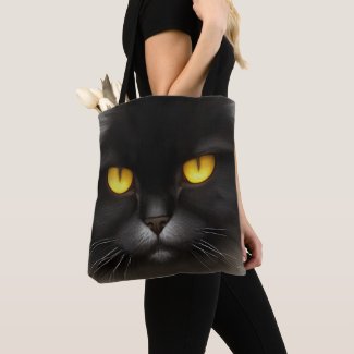 Portrait of Angry Fluffy Black Persian Cat Face