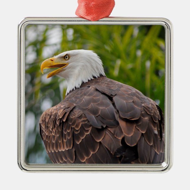 Portrait of bald eagle metal ornament (Front)