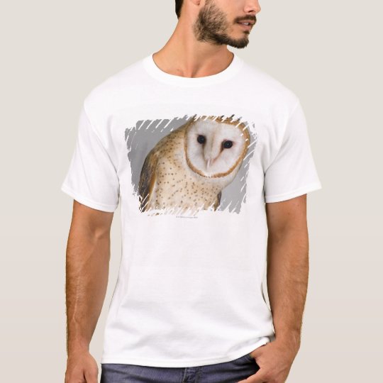 Portrait Of Barn Owl Tyto Alba T Shirt Zazzle Com