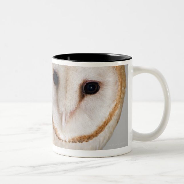 Portrait of barn owl (Tyto alba). Two-Tone Coffee Mug (Right)