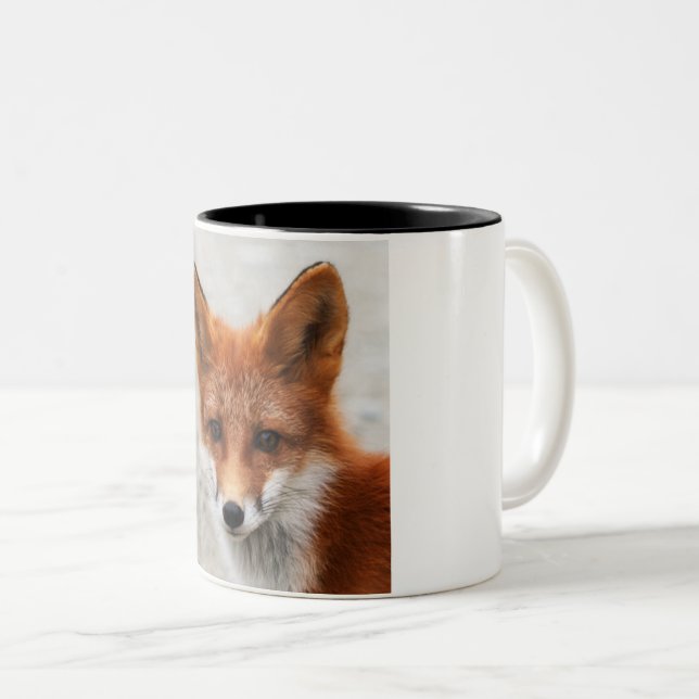 Portrait of beautiful wild red fox Two-Tone coffee mug (Front Right)
