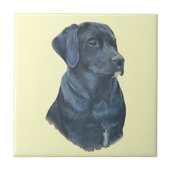 Portrait Of Black Labrador Dog Ceramic Tile by artoriginals at Zazzle