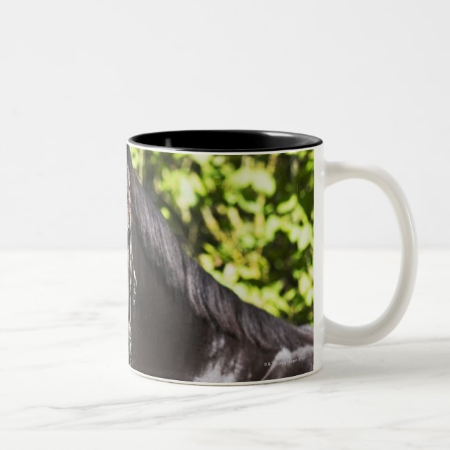 portrait of brown horse 2 Two-Tone coffee mug (Right)