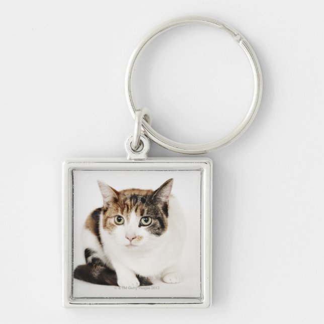 Portrait of Calico cat Keychain (Front)