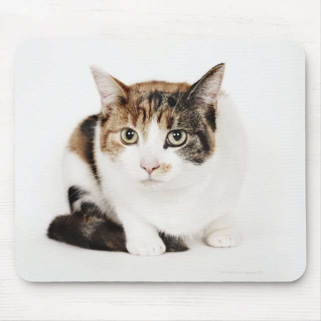Portrait of Calico cat Mouse Pad (Front)