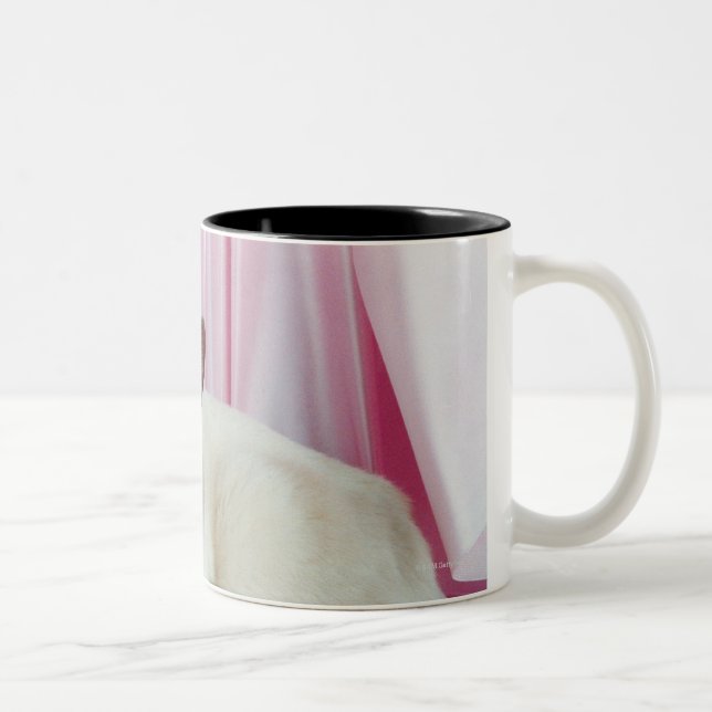 Portrait of cat 4 Two-Tone coffee mug (Right)