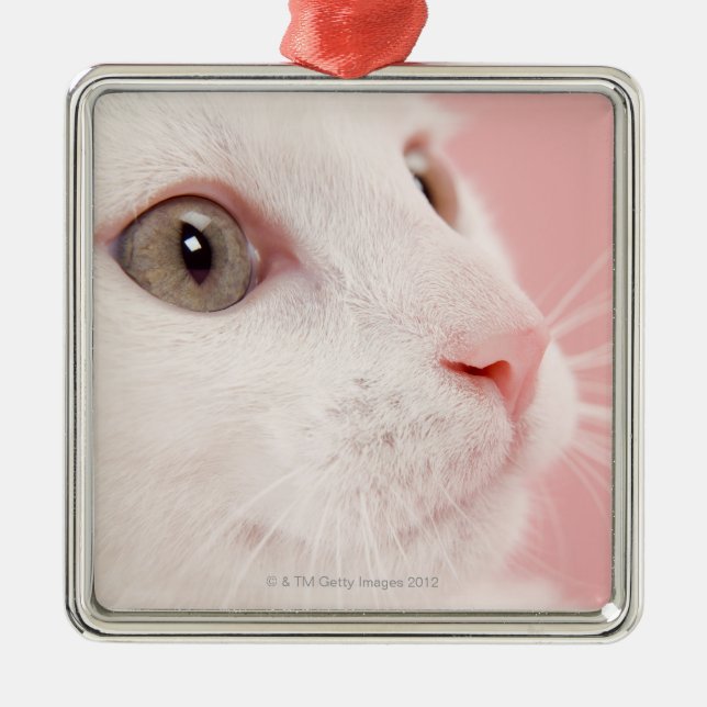 Portrait of cat metal ornament (Front)