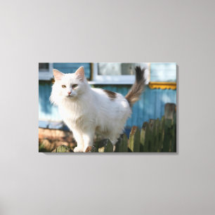 Portrait of cat on fence canvas print