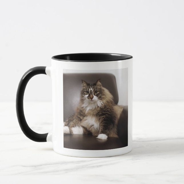 Portrait Of Cat Sitting In Chair Mug (Left)