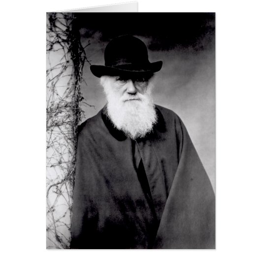 Portrait of Charles Darwin 1881 Cards (Front)