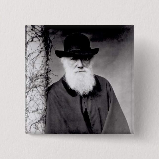 Portrait of Charles Darwin  1881 Pinback Button (Front)