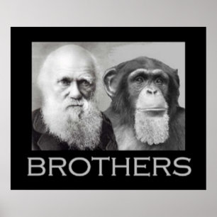 Portrait of Charles Darwin and Ape Poster